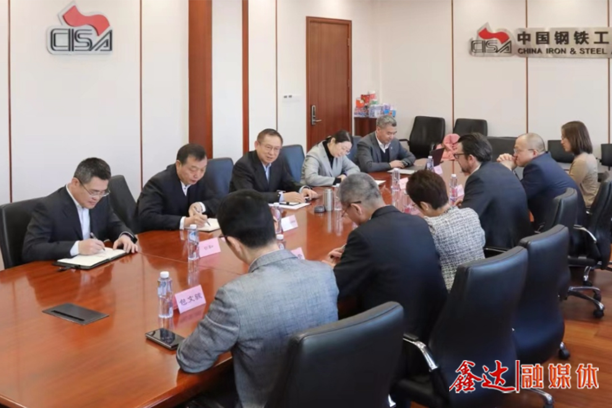 Luo Tiejun meets with a delegation from BHP Billiton
